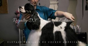 Lire la suite à propos de l’article Royalty INC Exclusive Edition